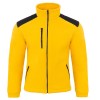 Polar FLRA 340 Premium   GOLD / BLACK