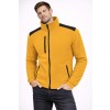Polar FLRA 340 Premium   GOLD / BLACK