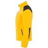 Polar FLRA 340 Premium   GOLD / BLACK